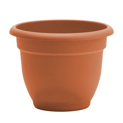 Bloem Ariana Planter (12 Inch, Terra Cotta)