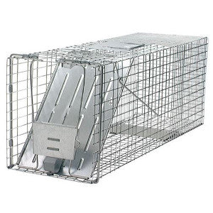 Raccoon Trap