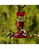 More Birds® Bird Health Natural Red Liquid Concentrate Hummingbird Nectar