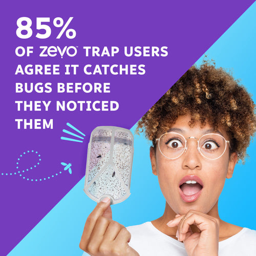 Zevo Flying Insect Trap Fly Trap (Twin Pack)