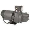 Shallow Well Jet Pump, .75-HP Motor, 1032-GPH