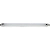 6-Watt Cool White Miniature Tube Bulb