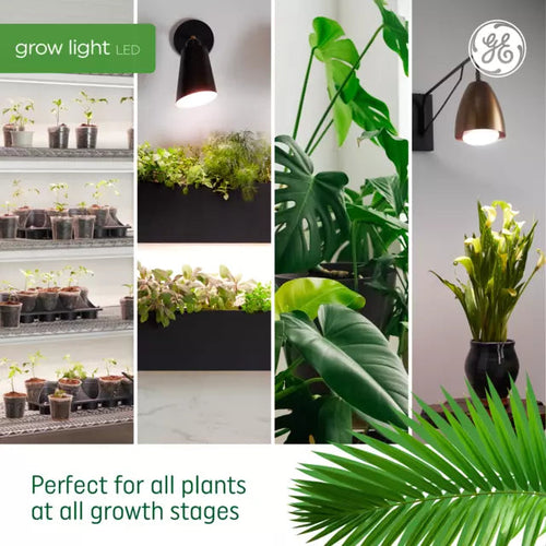 GE Grow LED Light Bulbs for Fruits and Flowering A19 Bulbs 9 Watts