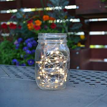 Holiday Bright Lights 100L SLV Micro Lights