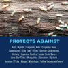 BioAdvanced Carpenter Ant & Termite Killer Plus Ready-To-Use