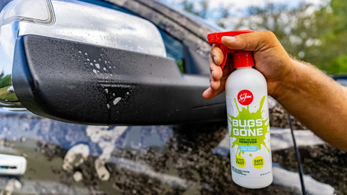 Sea Foam Bugs B Gone
