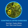 BioAdvanced 3-in-1 Insect, Disease & Plant Mite Control Ready-To-Spray II