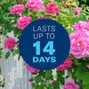 BioAdvanced 3-in-1 Insect, Disease & Plant Mite Control Ready-To-Spray II