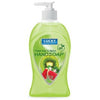 Liquid Hand Soap, Fresh Kiwi Melon, 13.5 oz.