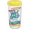 Antibacterial Face & Hand Wipes, Citrus, 40-Ct.