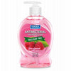 Anti-Bacterial Liquid Hand Soap, Raspberry, 7.5-oz.