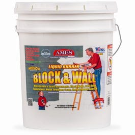 Block & Wall Liquid Rubber Coating, White, 5-Gals.