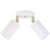 2-Light Multi-Directional Ceiling Fixture