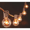 Gerson 20 Ft. 20-Light Clear Bulb String Lights